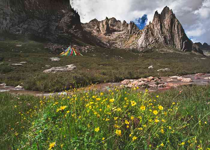 成都景区直通车，官方购票到底怎么整？这篇攻略给你捋明白！-第1张图片-成都租车公司